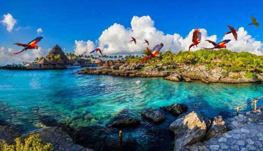 Tips para disfrutar Parque Xcaret