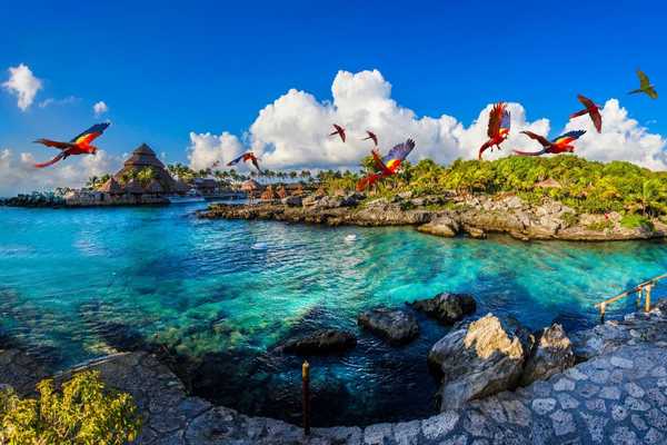 Tips para disfrutar Parque Xcaret
