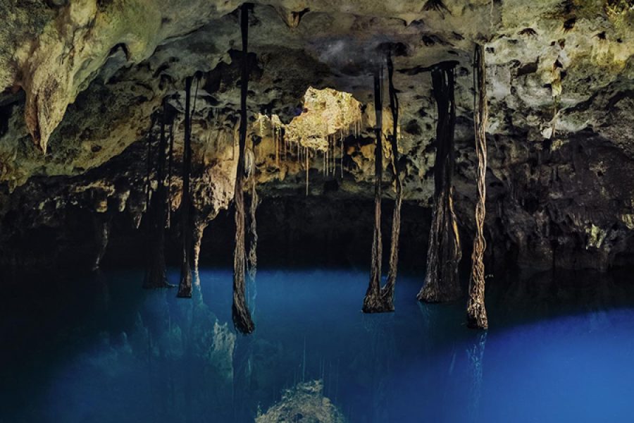 Xenotes Cancun | Aguas Enigmáticas