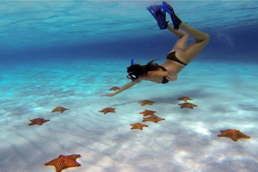 Cozumel Catamaran Snorkeling tour & Lunch